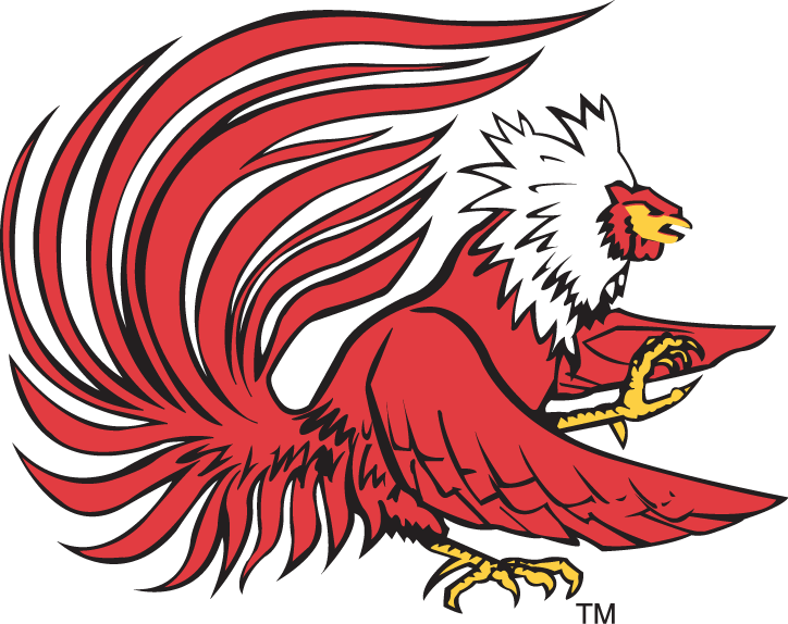 Jacksonville State Gamecocks 2006-Pres Secondary Logo diy iron on heat transfer